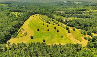 568 COUNTY ROAD 15 Lot 1, Autaugaville, AL 36003
