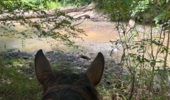 County Road 231, Abbeville, AL 36310