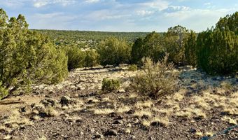 37 Co Rd N8174 10.1 Acres, Concho, AZ 85924