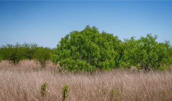 Fm-735, Alice, TX 78332
