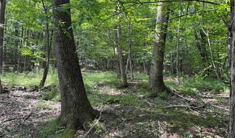 Green Road, Alfred, NY 14802