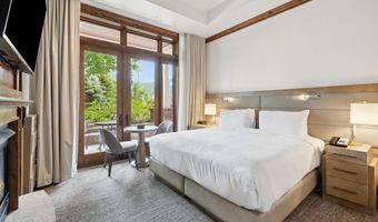 415 E Dean St Unit 1 Week 29, Aspen, CO 81611