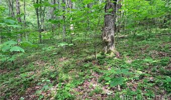 Chestnut Mountain Road, Banner Elk, NC 28604