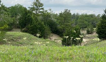 R13945 A0049 J Peterson Tract 11 Acres, Anderson, TX 77830