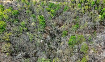 61 AC Hidden Cove Ln, Allons, TN 38541