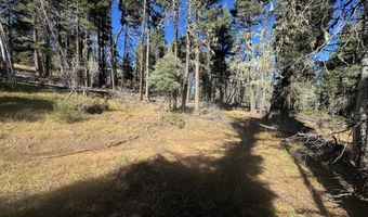 Taos Dr lot 173, Angel Fire, NM 87710