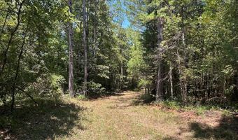 Pleasant Hill Road, Ashland, MS 38603