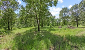 1942 E 1970 Rd, Antlers, OK 74523