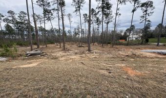 5672 White Oak Rd, Appling, GA 30802