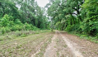 618 CR 2619, Alto, TX 75925