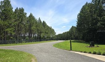 10333 NW 132ND Dr, Alachua, FL 32615