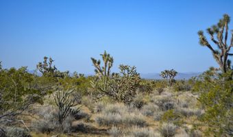 2641 S Javalina Rd, Yucca, AZ 86438