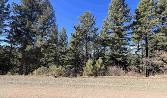 Back Basin Rd lot 156, Angel Fire, NM 87710