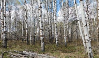 4051 Golden Stone Ln, Ashton, ID 83420