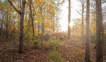 249 W Chapman Rd, Belton, SC 29627