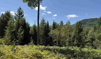 F2 Cave Mountain Road, Bartlett, NH 03812