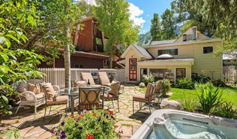 214 W Hyman Ave, Aspen, CO 81611