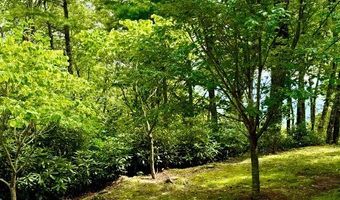 Falcon Ridge lot 17, Highlands, NC 28741
