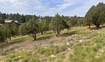 Lot 9 150 Mira Monte, Alto, NM 88312