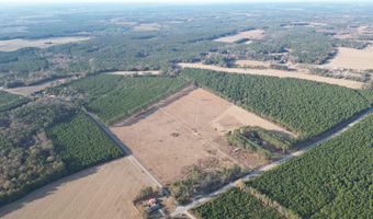 Lot A Hill Rd, Bishopville, SC 29010