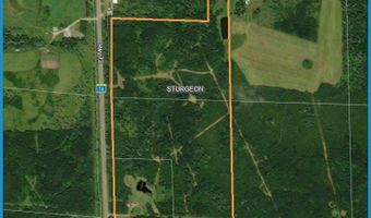 8800 Hwy 73, Angora, MN 55723