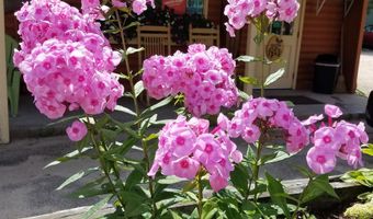 1395 US RT 302, Bartlett, NH 03812