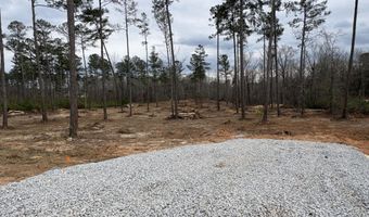 5672 White Oak Rd, Appling, GA 30802