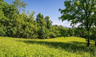 Lot 6 ROCKFISH ORCHARD DR, Afton, VA 22920