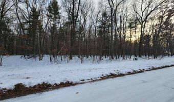 L59 Badger Court lot 59, Arkdale, WI 54613