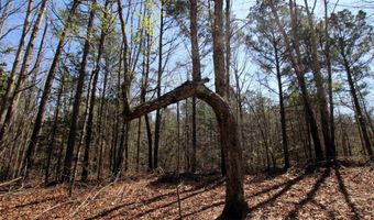 17133 Thompson Farm Rd, Alexander, AR 72002