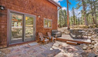 251 Haugen Slide Rd, Allenspark, CO 80510