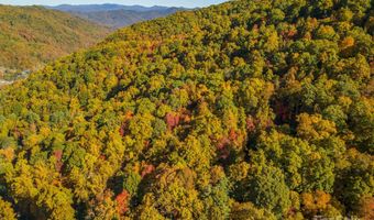 99999 Harwood Rd, Barnardsville, NC 28709