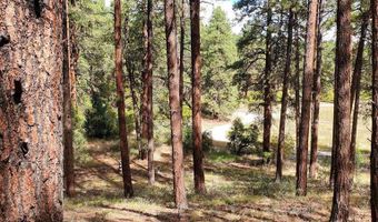 282 Pine Ln, Bayfield, CO 81122