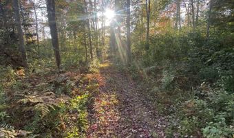 V/L S M-33, Alger, MI 48610