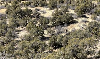 County Road 2550, Aztec, NM 87410