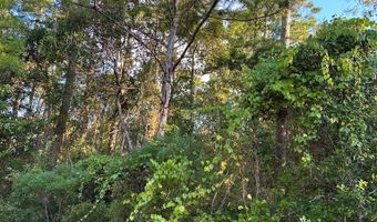 113 Mary Catherine Ln, Apalachicola, FL 32320