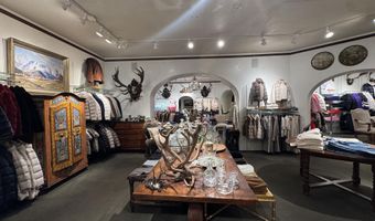 419 E Cooper Ave, Aspen, CO 81611