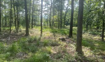 242 Brush Mountain Rd, Altoona, PA 16601
