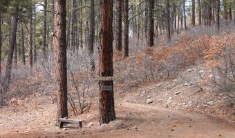 31861 E Highway 160, Bayfield, CO 81122