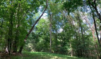 Brookside Drive, Abbeville, SC 29620