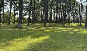 26511 ANTIOCH Rd, Andalusia, AL 36421