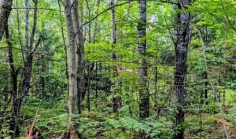 33 Acres Off Net Riv, Amasa, MI 49903
