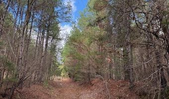 Beck Springs, Ashland, MS 38603