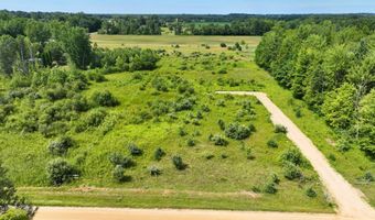 VL 104th Avenue, Allegan, MI 49010