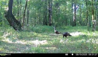 3 Champion Hill Rd, Bolton, MS 39041