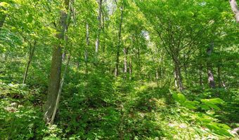 W9204 Big Coulee Road, Arkansaw, WI 54721