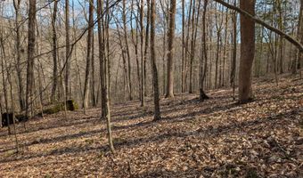 9999 Tip Top Rd, Beattyville, KY 41311