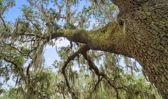 1119 Lafayette St, Beaufort, SC 29902