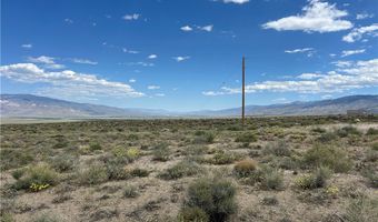 510 GILLUM Ln, Dyer, NV 89010