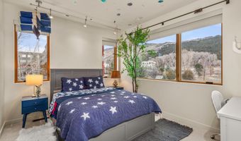 113 Valley Ct, Basalt, CO 81621